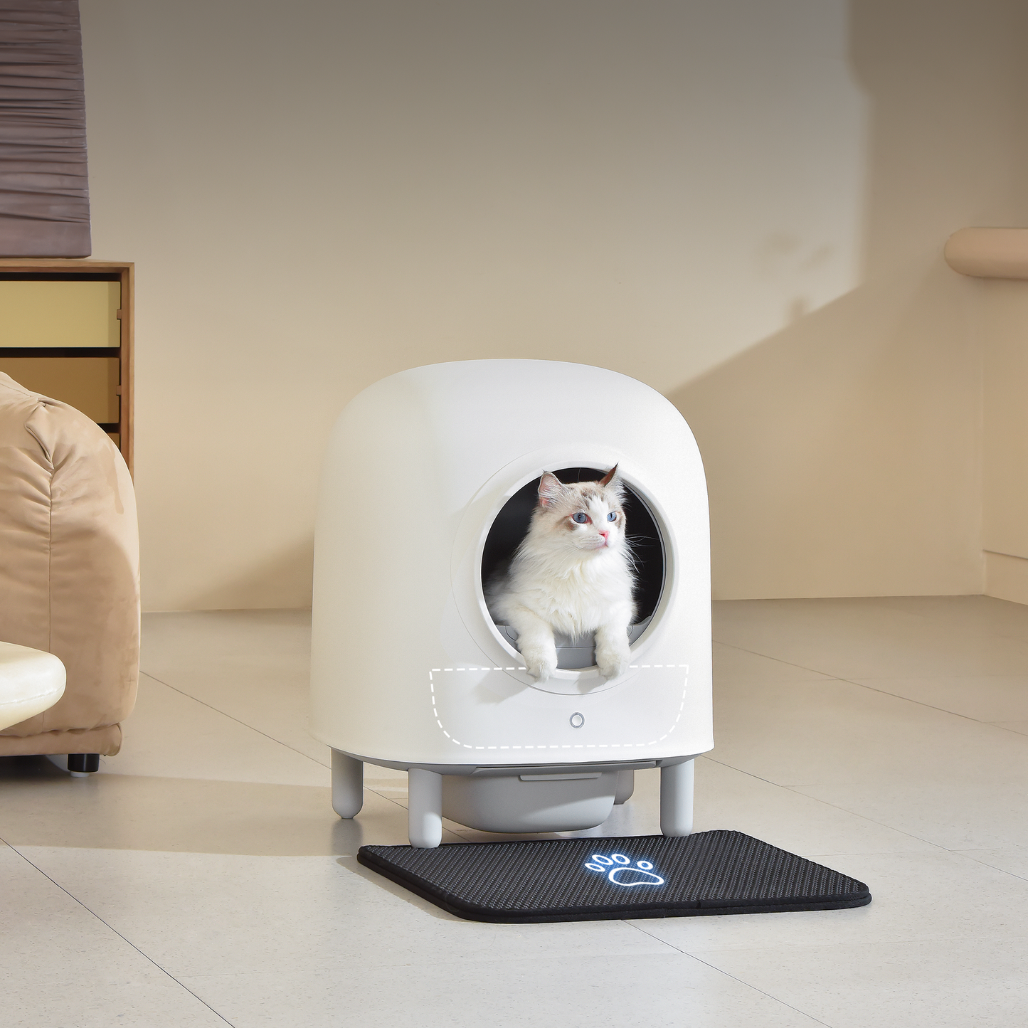 Self-Cleaning Litter Box