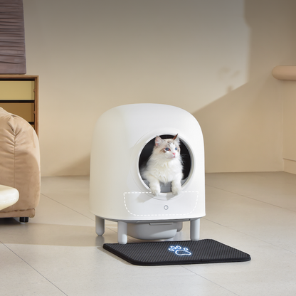 Self-Cleaning Litter Box